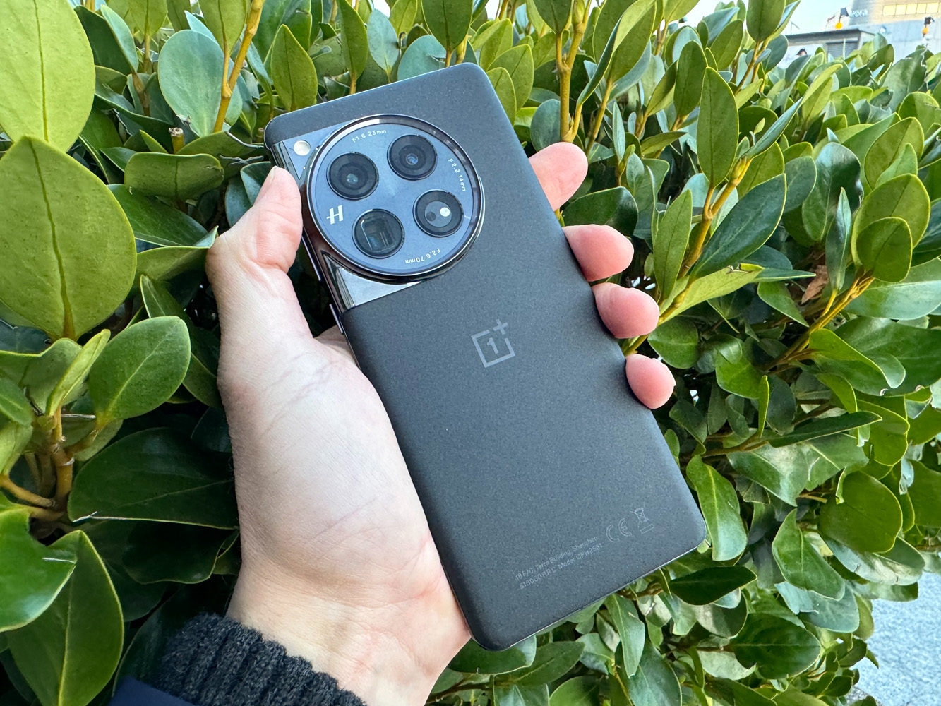 oneplus 12