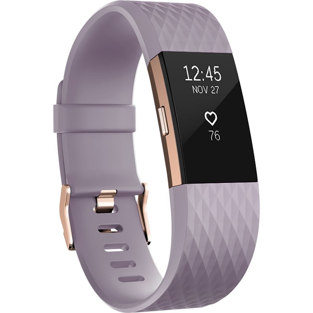 Fitbit Wristband